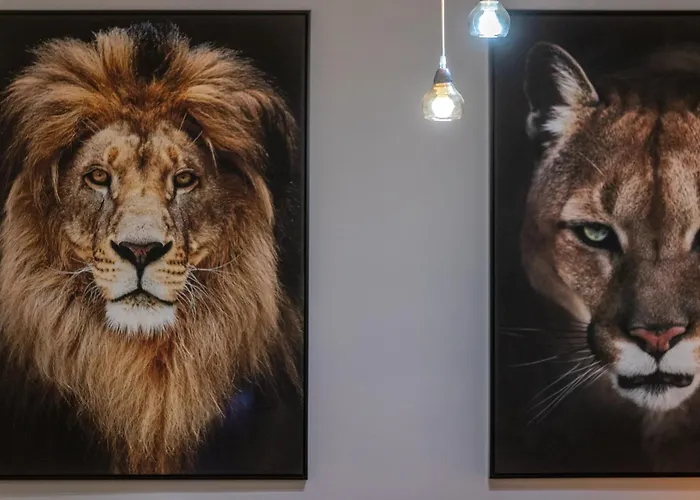 Inside Old Town By Alojarte * Bilbao